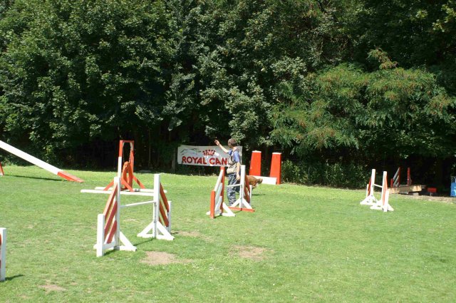agility 2011-07-24